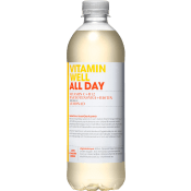 Dryck All Day 50cl Vitamin Well.