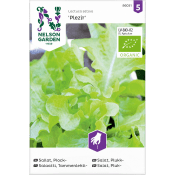 Sallat Plock Plezir Organic 1-p Nelson Garden.