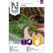 Dill, Blad-, Teddy Nelson Garden.