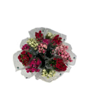 ICA Kvistrosor 5 pack Fair trade 50 cm mix.