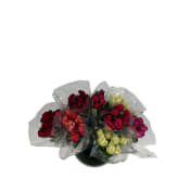 ICA Storblommiga Rosor 7 pack Fair Trade 50 cm mix.