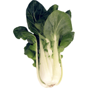 Pak Choi 250g Klass 1.