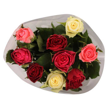 Rosor 9-p 50cm Fairtrade blandade färger i buketten ICA.
