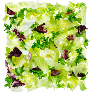 Family Mix 1kg Greenest.