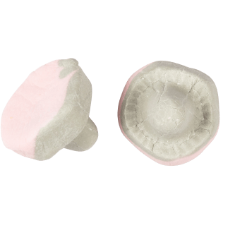 Hall/lakr-svamp 1kg.