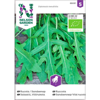 Ruccola Sandsenap Organic 1-p Nelson Garden.