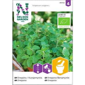 Oregano Kungsmynta Organic 1-p Nelson Garden.
