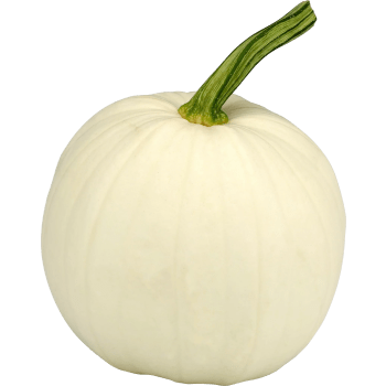 Pumpa Vit ca 4kg Klass 1 ICA.