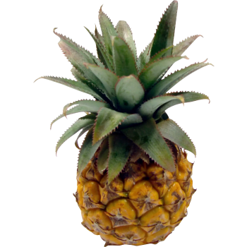 Ananas Mini ca 310 Klass 1 ICA.
