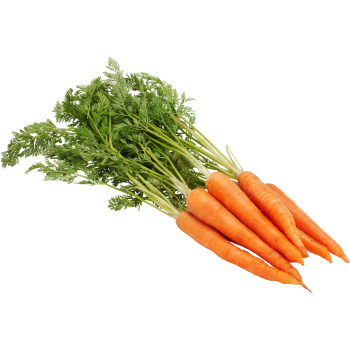 Morot knippe ca 500g Klass 1 ICA.
