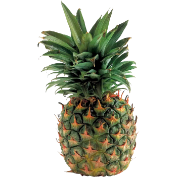 Ananas Extra Sweet ca 950g Klass 1 ICA.