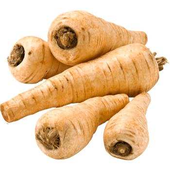 Palsternacka ca 140g Klass 1 ICA.