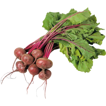 Rödbeta knippe ca 400g Klass 1 ICA.