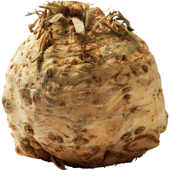 Rotselleri ca 900g Klass 1 ICA.