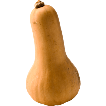 Pumpa Butternut ca 700g Klass 1 ICA.