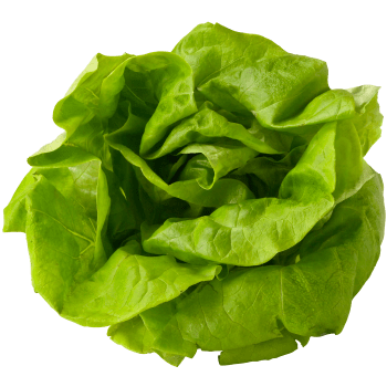 Huvudsallad ca 200g Klass 1 ICA.