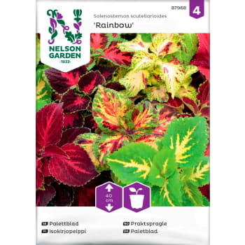 Palettblad Rainbow Blandade färger 1-p Nelson Garden.