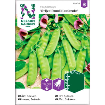 Ärt Socker Gigante Svizzero 1-p Nelson Garden.