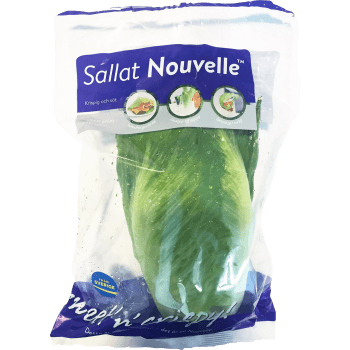 Sallat Nouvelle 1-p Klass 1.