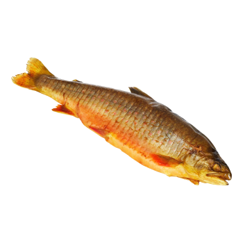 Varmrökt röding ca 330g Norums fiskrökeri.