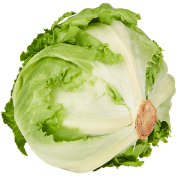 Isbergssallad ca 600g Klass 1 ICA.