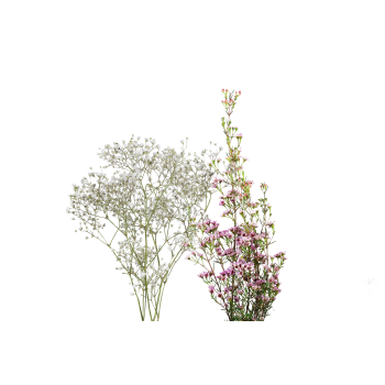 Blommande i bunt att kombinera med tulpaner & rosor 1-p Blomsterboda.