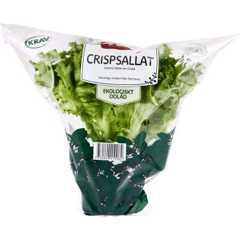 Crispsallat Kruka KRAV Hällnäs Handelsträdgård.