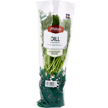 Dill Kruka KRAV Hällnäs Handelsträdgård Klass 1 ICA.