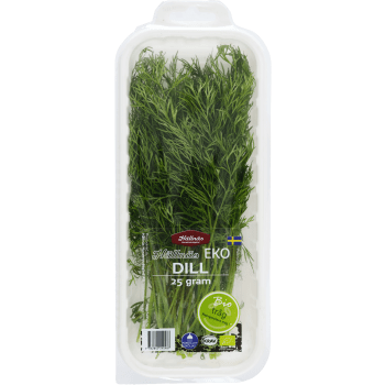 Dill EKO 25g Hällnäs Handelsträdgård Klass 1 ICA.