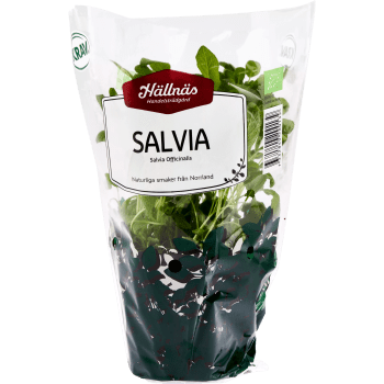 Salvia Kruka KRAV Hällnäs Handelsträdgård.