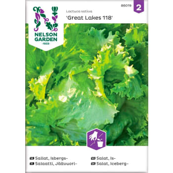 Sallat Isbergs Great Lakes 118 1-p Nelson Garden.