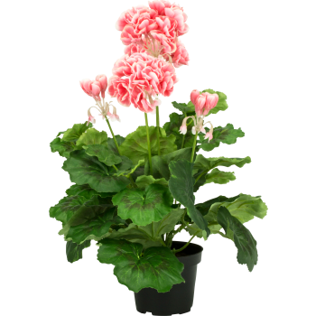 Konstväxt Pelargon rosa 37cm.