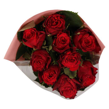 Rosor 9-p 50cm Rosa Bandet Fairtrade röda ICA.