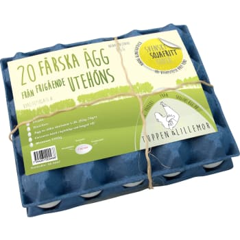 Ägg Frigående 20-p Skogens Ägg.