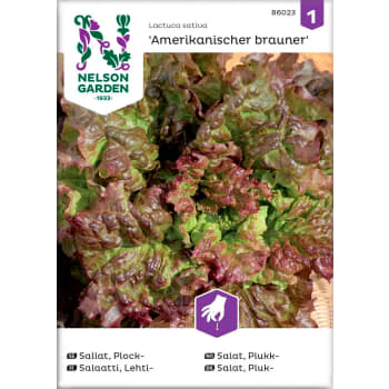 Sallat Plock Amerikanischer Brau 1-p Nelson Garden.