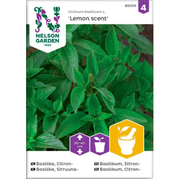 Basilika Citron Lemon Scent 1-p Nelson Garden.