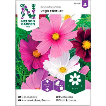 Rosenskära Vega Mixture 1-p Nelson Garden.