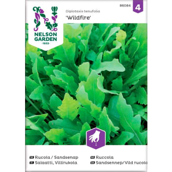 Rucola Sandsenap Wildfire 1-p Nelson Garden.