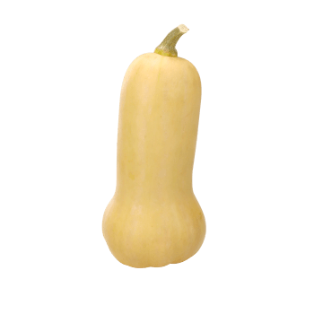 Pumpa Butternut 1-pack Klass 1 ICA.