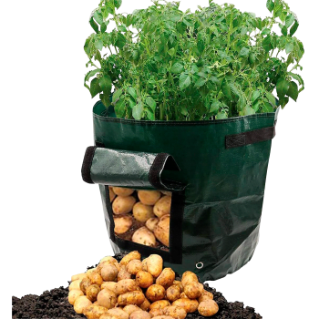 Odlingsbag Potatis Zeline.