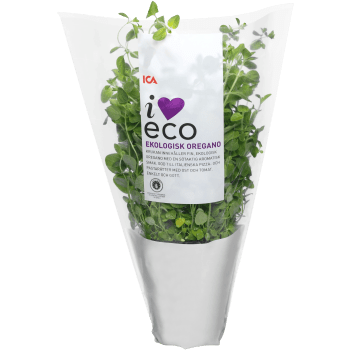 Oregano ICA I love eco Klass 1.