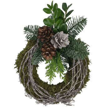 Mosskrans bark.