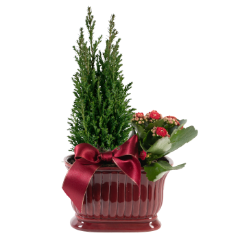 Arrangemang Jul.