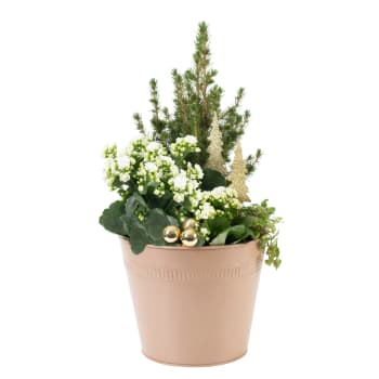 Arrangemang Jul trend.