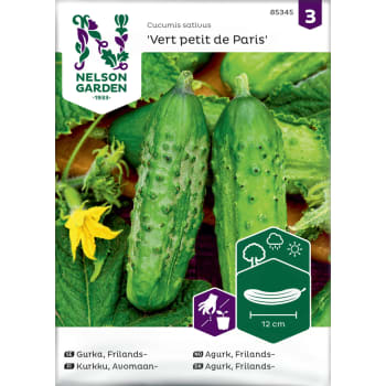 Gurka, Frilands-, Vert petit de Par Nelson Garden.