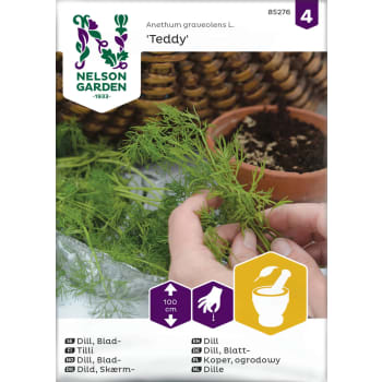 Dill, Blad-, Teddy Nelson Garden.
