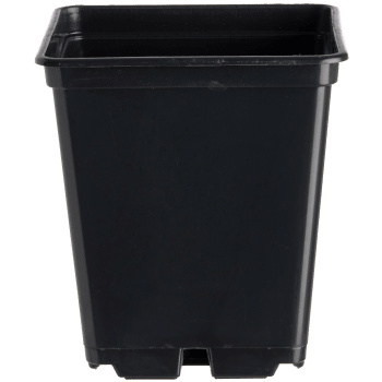 Plastkruka 7x7cm 25p.
