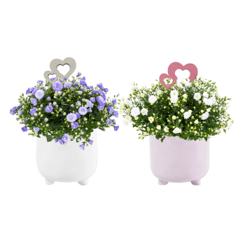 Arrangemang Mors Dag Campanual 13cm.