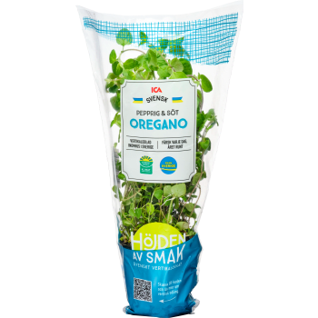 Oregano vertikalodlad 1-p Klass 1 ICA.