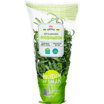 Rosmarin i kruka 30g ICA.